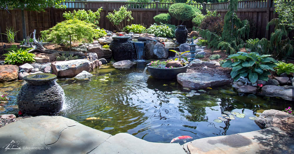 Koi Pond Installation Services