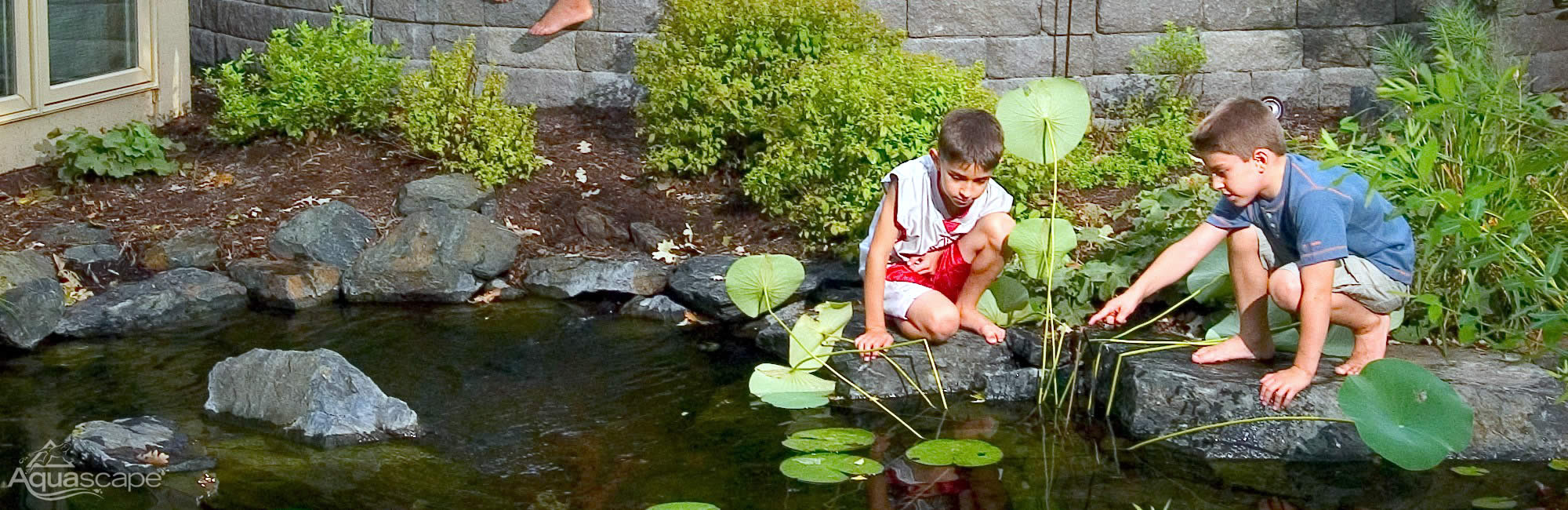 Ecosystem Pond Installation