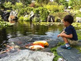 People and Water-08